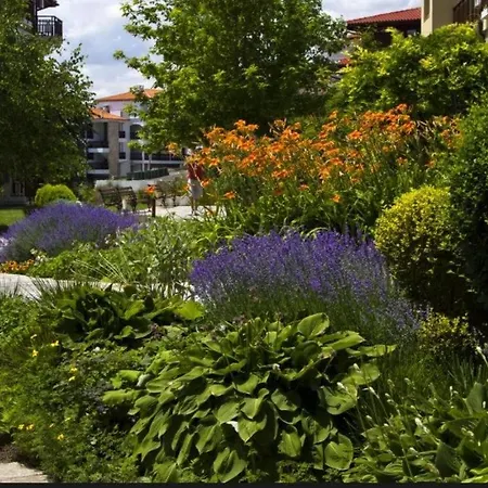 Apartman Garden Of Eden - Panorama C2 Szveti Vlasz