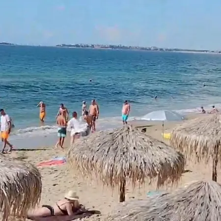 Garden Of Eden - Panorama C2 * 스베티 블라스