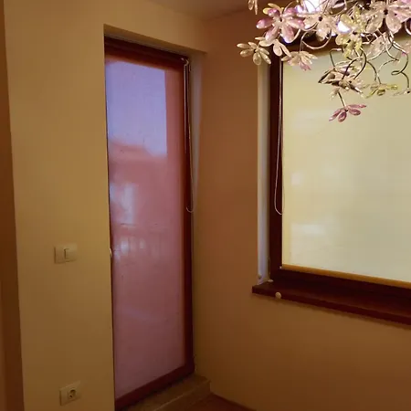 Garden Of Eden - Panorama C2 * 스베티 블라스